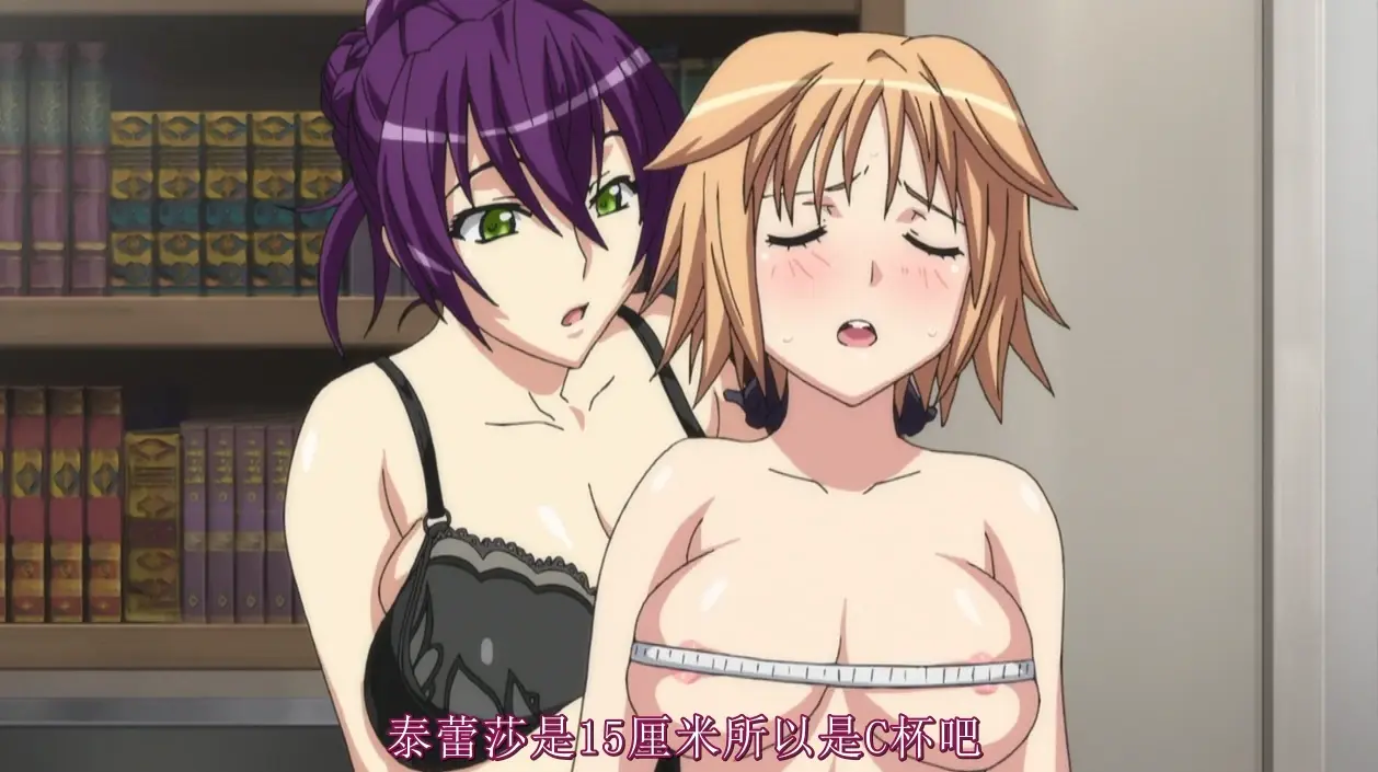 [日漫][BD无修]圣痕炼金士第一季[全集]